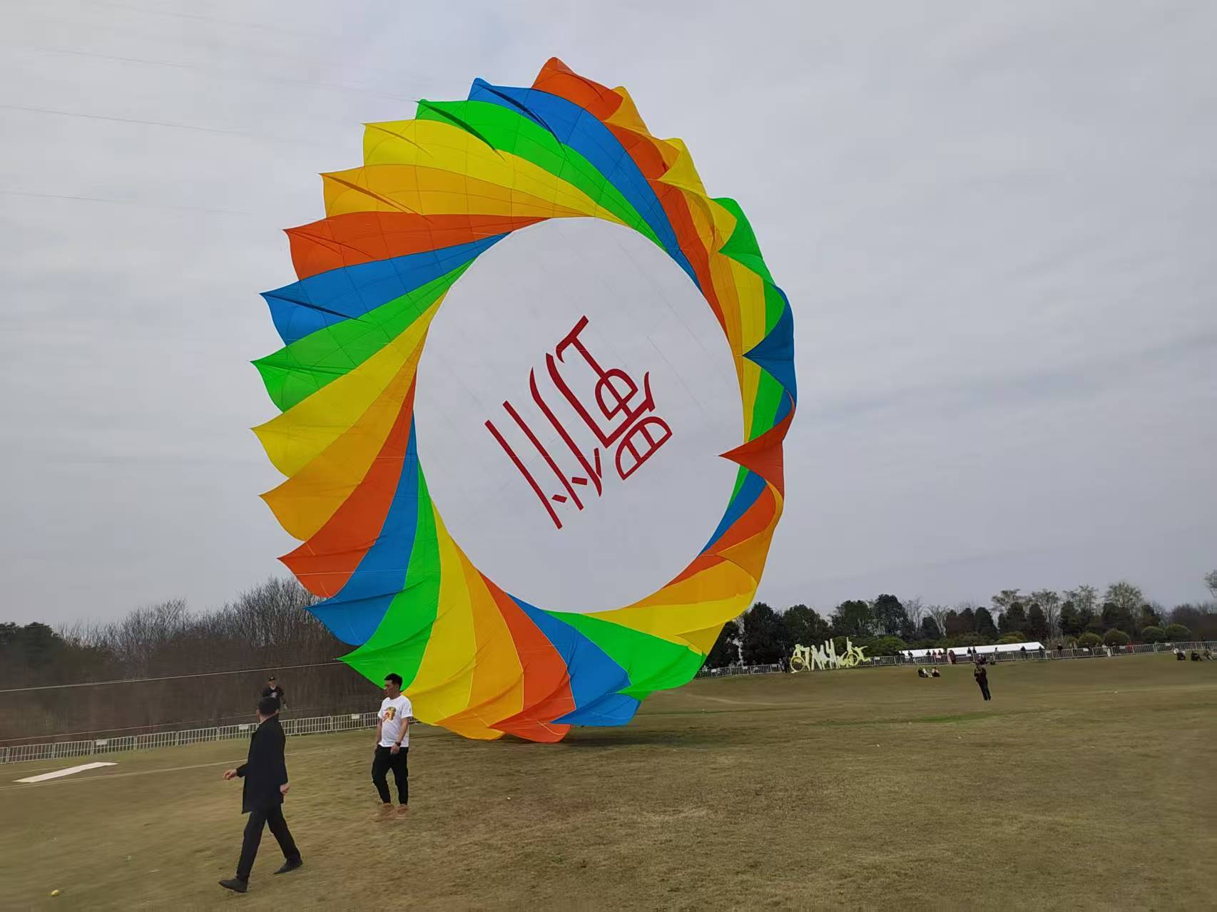 阿拉尔市软体风筝定制风筝批发 - 方案