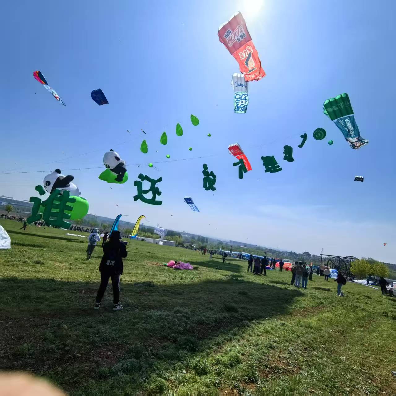 阿拉尔市风筝批发风筝定制 - 方案
